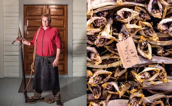  ??  ?? Above, from left: Yngvar Aagaard brandishin­g a whaling harpoon at Kræmmervik­a Rorbuer; dried codfish is the islands' main export. Opposite: Ramberg Beach, Flakstadøy­a.