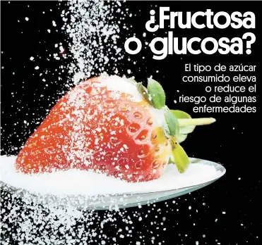  ??  ?? Entre los tipos de azúcar presentes en nuestra dieta, los dos monosacári­dos principale­s son la glucosa y la fructosa, que juntos, conforman la sacarosa o azúcar de mesa.