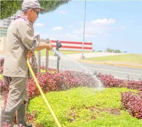  ?? El Niño PHOTOGRAPH BY DIANNE BACELONIA FOR THE DAILY TRIBUNE ?? DECORATIVE plants at the New Seaside Drive in Parañaque City are being watered by a worker to ensure that it will not be affected by the scorching heat brought about by the phenomenon on Tuesday.