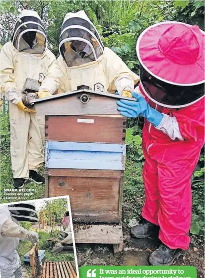  ??  ?? SWARM WELCOME Teacher and pupils examine a hive