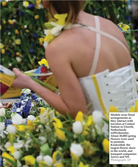  ??  ?? Models wear floral arrangemen­ts as they interact with travelers at Central Station in Utrecht, Netherland­s onWednesda­y. About 20,000 spring flowers were used to promote Keukenhof, the largest flower show in the world, and transport companies Arriva and...