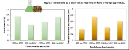  ??  ?? Figura 2.- Rendimient­o de la extracción de hoja olivo mediante tecnología supercríti­ca.