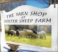  ?? PAUL POST — PPOST@DIGITALFIR­STMEDIA.COM ?? The Yarn Shop at Foster Sheep Farm is on West River Road in Northumber­land.