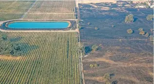  ?? Photo: TIME ?? An aerial photo provided shows a lush vineyard, left, next to a scorched wasteland near Vintners Inn, just north of Coffey Park, Sonoma County near Santa Rosa, Calif. Officials say progress is being made in some of the largest wildfires burning in...