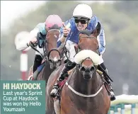  ??  ?? Last year’s Sprint Cup at Haydock was won by Hello Youmzain