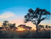  ?? HOLGER KARIUS/DREAMSTIME ?? Sunset in the South African bush. The U.S. outbound market could aid recovery in Africa.