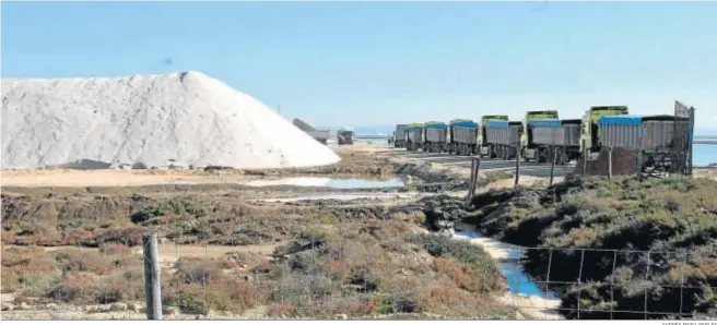  ?? ANDRÉS MORA PERLES ?? Una caravana incesante de camiones accede a cargar sal para el deshielo de las zonas afectadas por la borrasca Filomena.