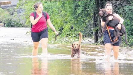  ?? JASON MALLOY ?? Many areas throughout West Hants flooded after an unpreceden­ted amount of rainfall July 21-22. Pictured are Kings County residents Nicole Tibbetts, left, with Cooper, and Holly Morine, with Gus, leaving Highway 1 in Three Miles Plains.