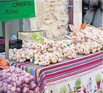  ??  ?? TICKLED PINK
The French village of Lautrec celebrates its pink garlic with an annual festival in August