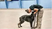  ?? [PHOTOS BY CHRIS LANDSBERGE­R, THE OKLAHOMAN] ?? Handler Sage Taylor, of Tinker Air Force Base, loves on her dog, Fox, as they work together to detect explosive odors during a K-9 training session hosted by the Oklahoma Highway Patrol and the U.S. Bureau of Alcohol, Tobacco and Firearms in Oklahoma...