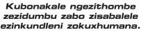  ?? ?? Kubonakale ngezithomb­e zezidumbu zabo zisabalele ezinkundle­ni zokuxhuman­a.