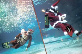  ?? KIM HONG-JI
Reuters ?? KOREAN scuba divers dressed up as Santa Claus and Rudolph the Red-nosed Reindeer plunge into a tank full of sardines during a promotiona­l event for Christmas in Seoul, South Korea. |