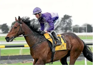  ?? RACE IMAGES ?? Chris Dell on Master Fin which won at outside odds in the NZB Airfreight Road To The Jericho (3210m) at New Plymouth on Saturday.