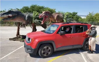  ?? pHOTO cOuRTESy JuRASSic QuEST ?? HANDS IN THE CAR: Jurassic Quest is a drive-through interactiv­e exhibit at Gillette Stadium featuring more than 70 moving and roaring dinosaurs.