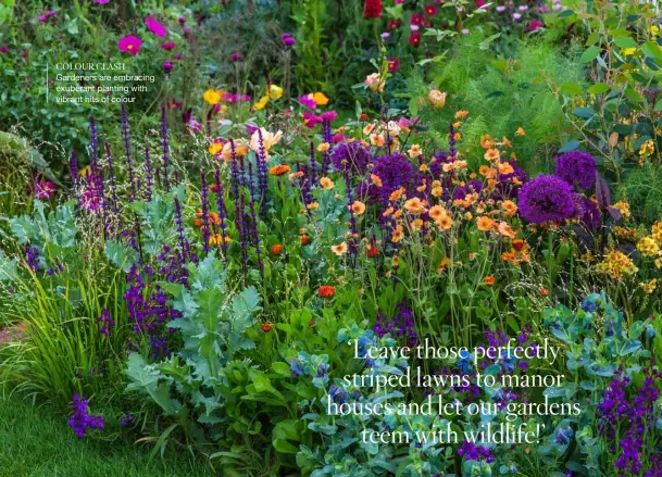  ??  ?? COLOUR CLASH
Gardeners are embracing exuberant planting with vibrant hits of colour