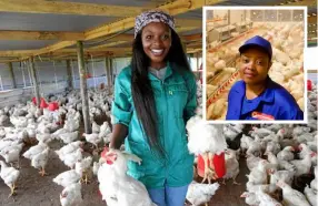  ??  ?? LUCRATIVE... With the right measures, locals can benefit from the billions- worth poultry industry