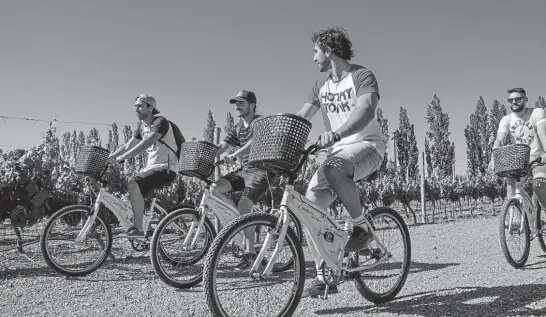  ?? MARIANA VILLA / LOS ANDES ?? PASEOS. Muchas bodegas organizan paseos en bicicleta alrededor de sus viñedos, para que los turistas puedan estar en contacto directo con las uvas y la naturaleza.