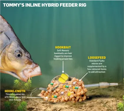  ?? ?? HOOKLENGTH This is a typical 4in of 0.19mm mono to a size 14 hook
HOOKBAIT Soft Neeonz hookbaits are hair rigged to improve hooking properties
LOOSEFEED Standard Fjuku micros are supplement­ed by a few coloured items to add attraction