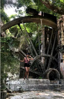  ?? ?? Tryall Waterwheel in Hanover has a rich story to tell. Are you ready to listen and explore?