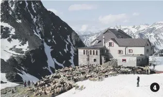  ??  ?? The flock take a break at the mountain shelter Schoene Aussicht, in South Tyrol. 4