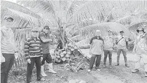  ??  ?? BERBUAH LEBAT: Dr Abdul Rahman (tiga kiri), Jakaria (lima kiri), Amirul, Christophe­r (kiri) bersama peserta tanaman kelapa matag di Kampung Benuas, Limbang semalam.