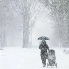  ??  ?? Salir a pasear con temperatur­as por debajo de los 50 grados se convierte en una aventura agotadora.