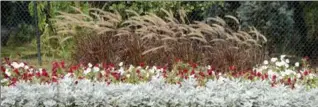  ??  ?? The theme this year for display beds, though optional, was Canada’s 150th birthday; red and white abounded.