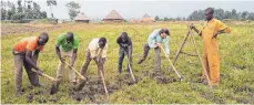  ?? FOTO: KATRIN FIEBERITZ ?? Techniken, die im afrikanisc­hen Kenia Dürreperio­den abfangen sollen, könnten demnächst auch in Deutschlan­d eingesetzt werden. Ronny Müller ( Zweiter von rechts) zeigt vom 7. bis 9. September, wie sogenannte Swales gebaut werden.