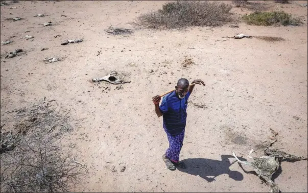  ?? ?? Herder Yusuf Abdullahi (AP/Brian Inganga) walks Oct. 24 past the carcasses of his 40 goats that died of hunger in Dertu, Wajir County, Kenya.