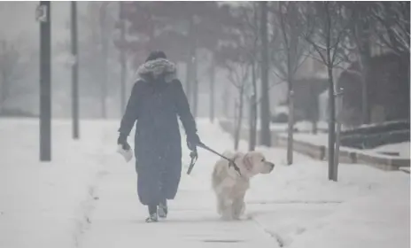  ?? BERNARD WEIL/TORONTO STAR ?? The snowfall tapered off in the afternoon Wednesday. By the time the snow had stopped, Scarboroug­h had nine centimetre­s, while Etobicoke saw 10 cm.