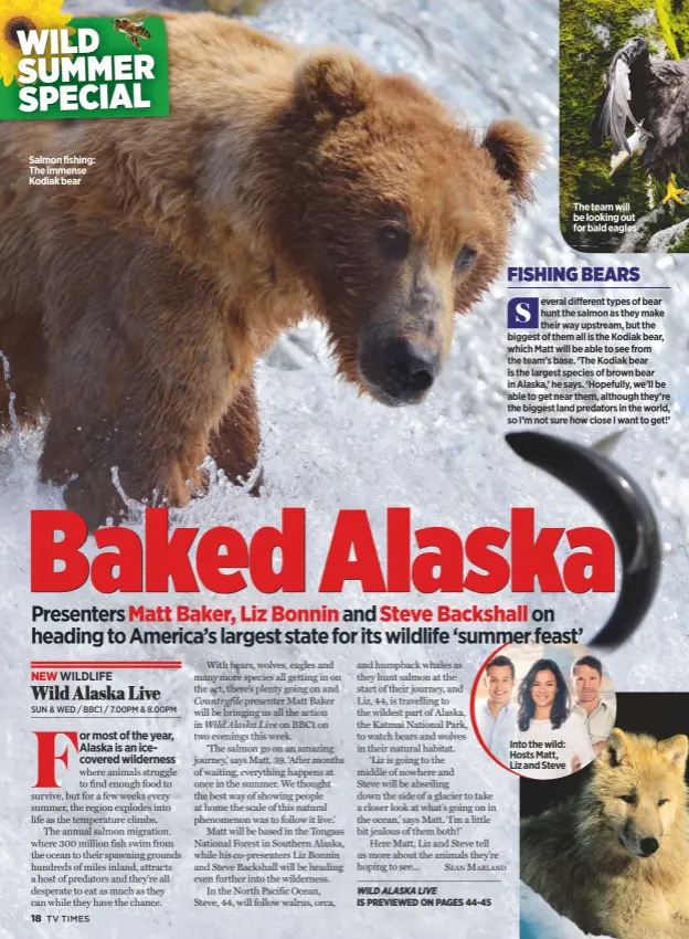  ??  ?? Salmon fishing: The immense Kodiak bear
NEW WILDLIFE Wild Alaska Live sun & wed / BBC1 / 7.00Pm & 8.00Pm