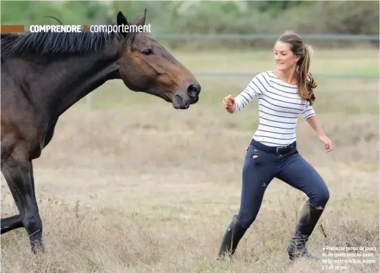  ??  ?? Prenez le temps de jouez ou de courir avec lui avant de lui mettre le licol, même s'il vit au pré !