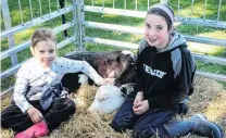  ?? PHOTOS: LUISA GIRAO ?? Hannah (7) and Charlotte (11) Hunt cuddle Willow, their pet calf.