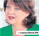  ??  ?? > Leanne Wood AM