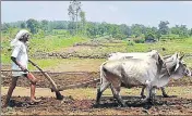  ?? MUJEEB FARUQUI/HT FILE ?? ■ An official said, to implement the scheme, the government will rely on a ‘management informatio­n system platform’, a software that will connect states, banks and farmers