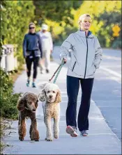  ?? RICHARD GRAULICH / THE PALM BEACH POST ?? Ro Sammis of North Palm Beach walks poodles Kobe (left) and Boci along A1A in Juno Beach on Thursday morning. Cooler temperatur­es in South Florida at this time of year are tourism gold as visitors from the frozen North head our way.