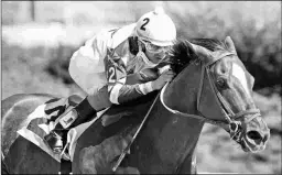  ?? BARBARA D. LIVINGSTON ?? Russell Road won 31 of 62 starts, earning more than $2 million.