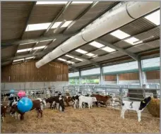  ?? ?? HYDOR’S FORCED ventilatio­n system at Cats Hill Farm has helped maintain calf health