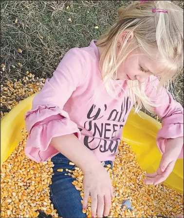  ?? Courtesy Photo ?? Adilina Stumpff enjoys the corn pit at a non-traditiona­l field trip at Rocky Comfort Elementary.