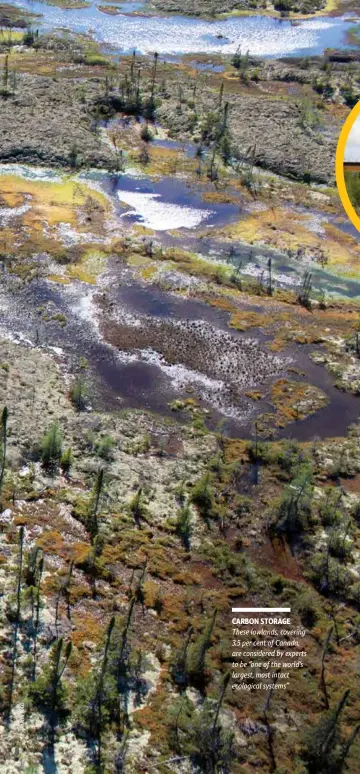  ??  ?? CARBON STORAGE These lowlands, covering 3.5 per cent of Canada, are considered by experts to be “one of the world‘s largest, most intact ecological systems”