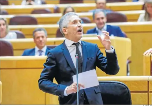  ?? R. RUBIO / EP ?? El ministro del Interior, Fernando Grande-Marlaska, durante el pleno que se celebró ayer en el Senado.