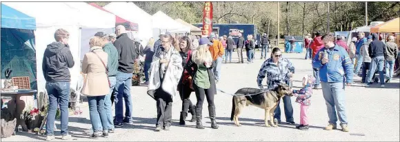  ?? Keith Bryant/The Weekly Vista ?? The first Flea in the Park drew a variety of vendors and guests to Blowing Springs Pavilion. POA recreation director Joan Glubzyncki said she believed more than 500 people showed up.