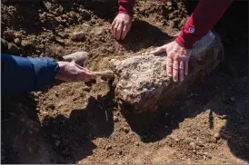  ?? JASON HALLEY — CHICO STATE ?? Chico State professor and paleontolo­gist Russell Shapiro, right, and Sierra College professor Charles Dailey examine a specimen discovered at a fossil-rich site in the Mokelumne River watershed on July 11, 2022.