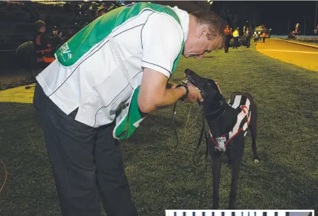  ??  ?? GOOD JOB: David Geall embraces My Redeemer after last Friday night’s heat win. My Redeemer has drawn the coveted inside box in tonight’s Melbourne Cup final at Sandown Park. Inset: My Redeemer (Box two) storms past Hasten Slowly just before the finish line in his heat win.