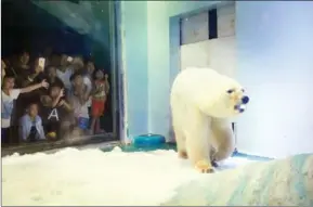  ?? AFP ?? Visitors take photos of a polar bear inside its enclosure at the Grandview Mall Aquarium in the southern Chinese city of Guangzhou in July.