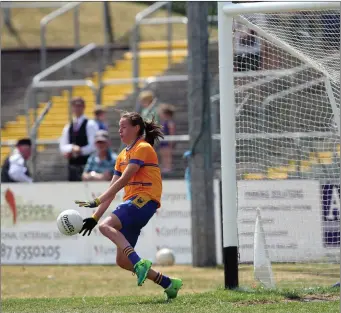  ??  ?? Wicklow’s Kim Connors pulls off one of her many saves during the Leinster final against Laois.