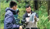  ?? ?? From top: Zhang Chenliang visits Kashgar, Xinjiang Uygur autonomous region; Zhang (left) and a guest host walk through tulips in Xinjiang; Zhang checks the script while filming in Metog, Xizang autonomous region.