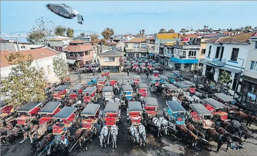 ?? YASIN AKGUL / AFP ?? Cavalcant. Punt final a quatre generacion­s de cotxers, que amb calesses com aquestes passejaven els clients. A baix, l’alcalde d’Istanbul