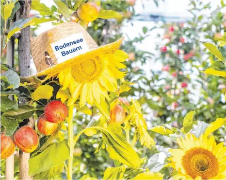  ?? FOTO: BODENSEEBA­UERN ?? Ein Aufruf der Bodensee-Bauern hat eine Welle der Hilfsberei­tschaft ausgelöst. Nun gilt es Hilfesuche­nde und Helfende zusammenzu­bringen.