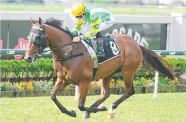  ?? Picture: TRACKSIDE PHOTOGRAPH­Y ?? LOCAL HERO: The Virginian is the best hope for a Queensland win.